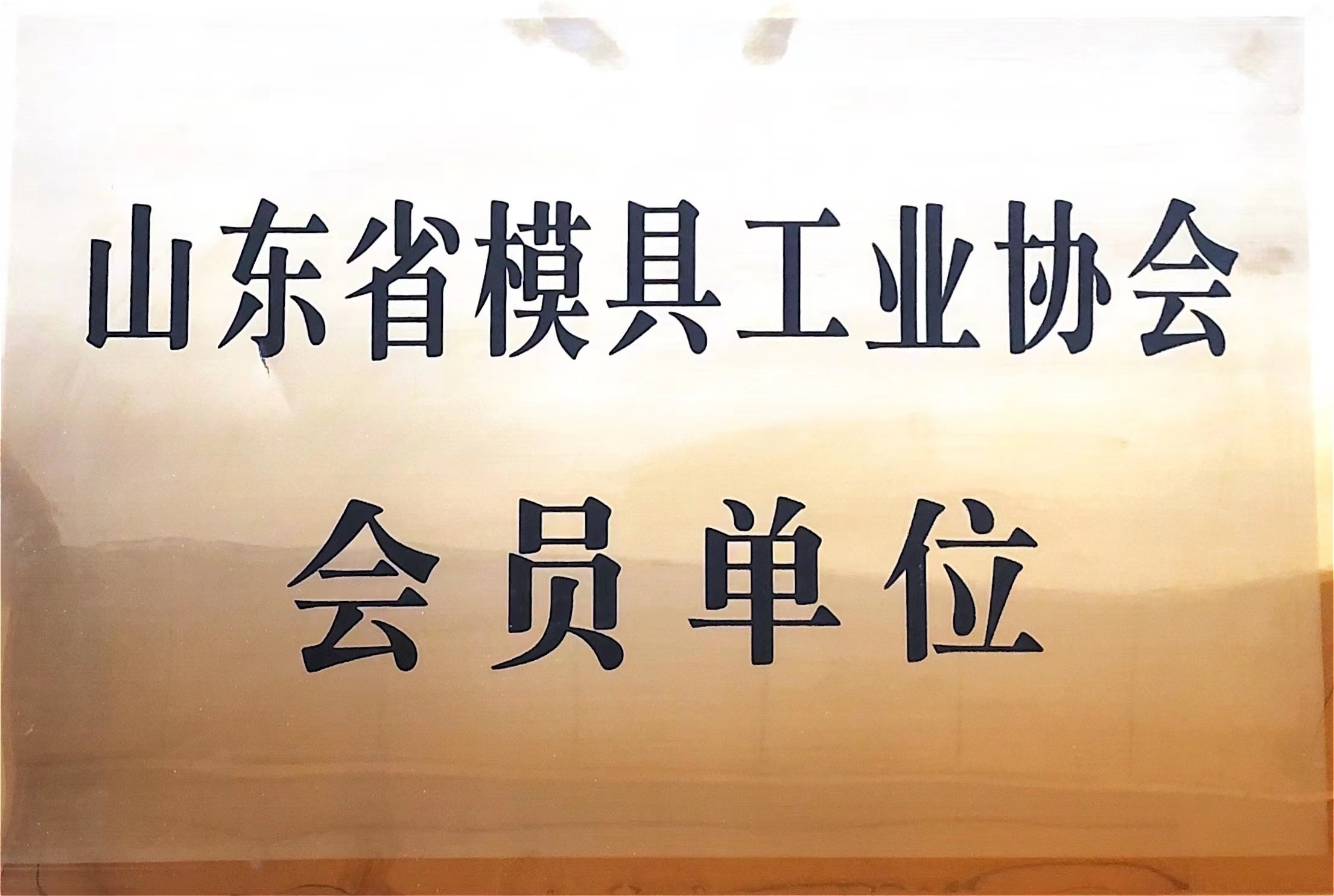 山東省模具工業(yè)協(xié)會(huì )會(huì )員單位